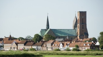 Ribe