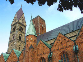 Ribe