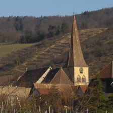 Niedermorschwihr